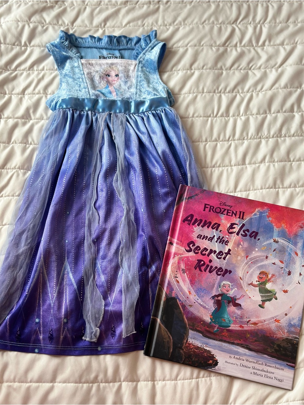 Disney Elsa Blue Dress-Up Nightgown Pajamas & Anna Elsa & Secret River Book 📖